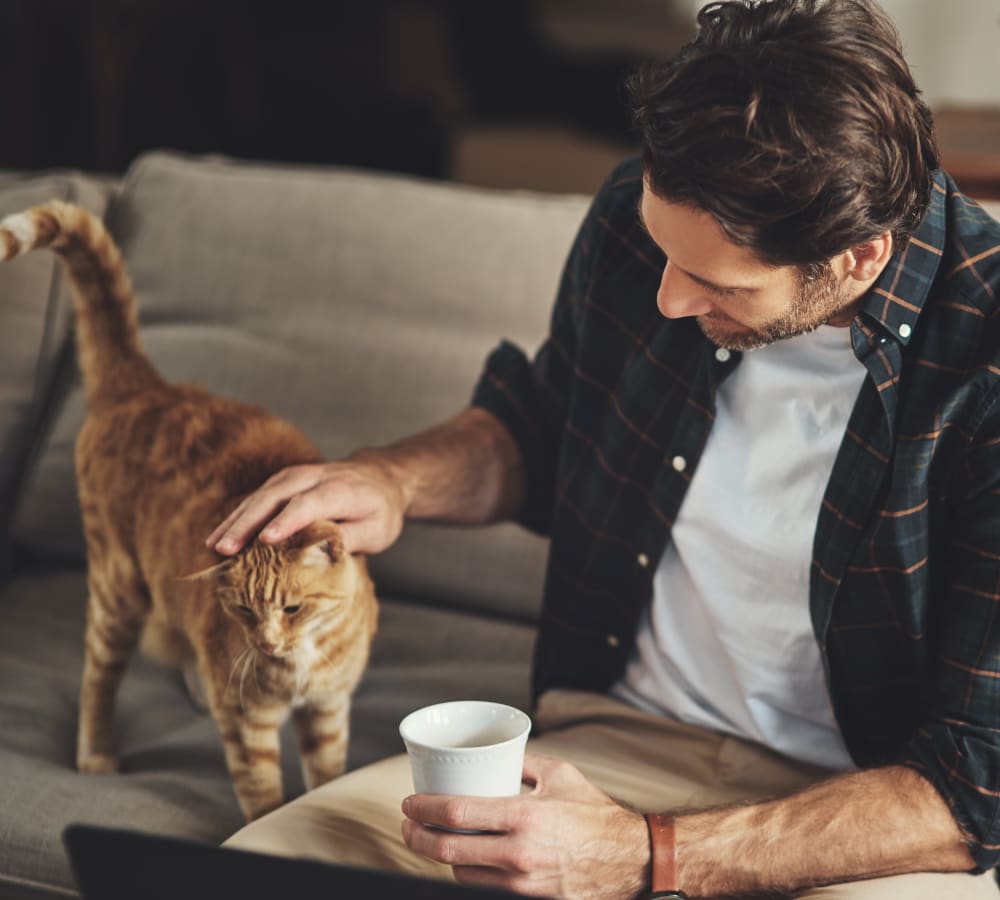 A man sitting and petting an orange cat at Chace Lake Villas in Birmingham, Alabama