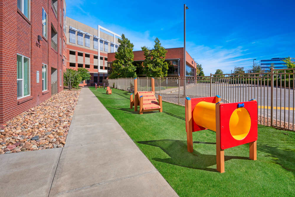 The dog park at Helios in Englewood, Colorado