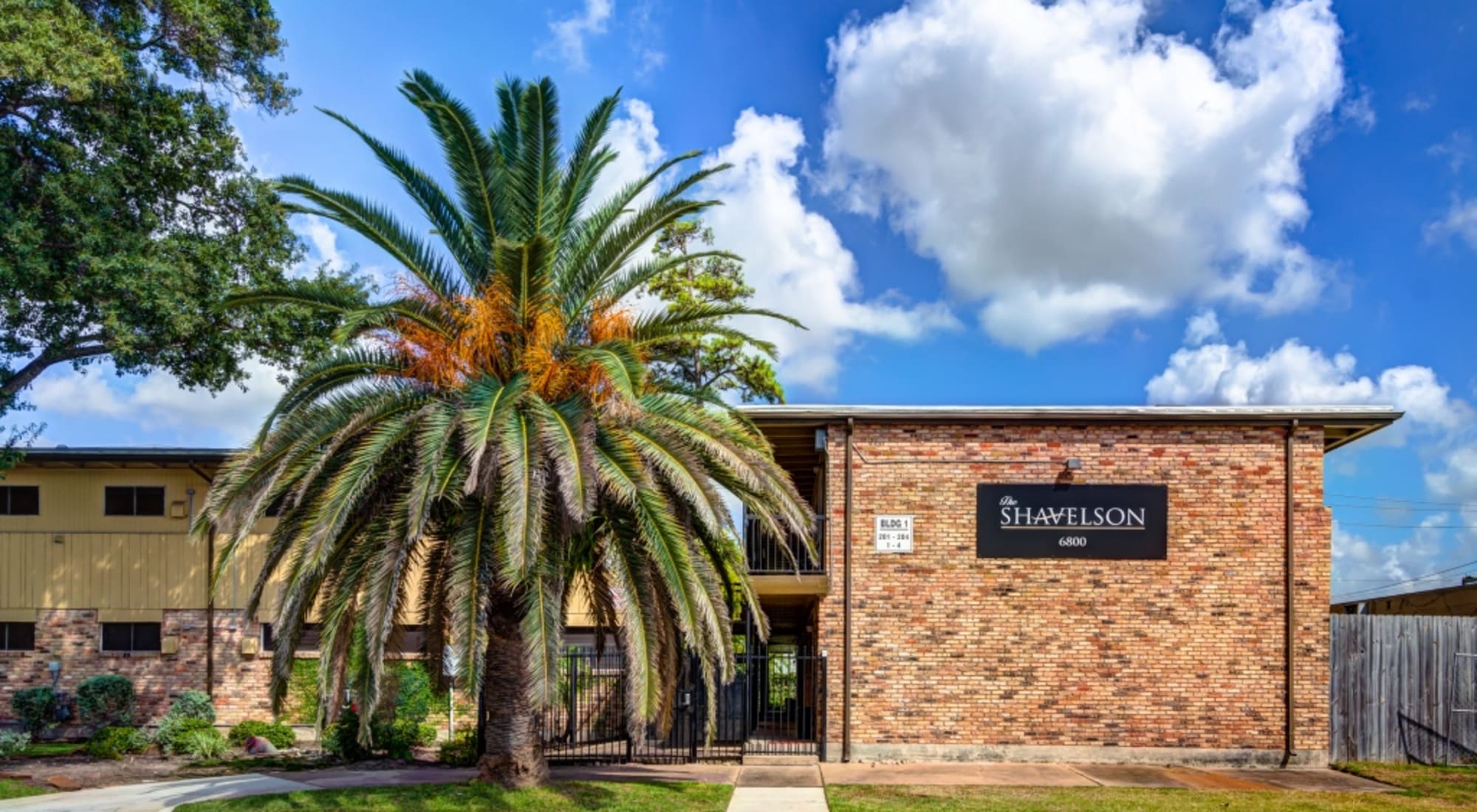 Inviting entrance with palm tree at  The Shavelson in Houston, Texas