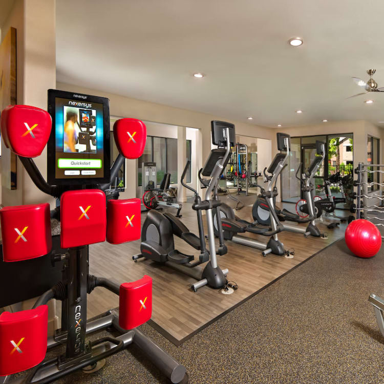 Fitness center at The Palisades in Paradise Valley