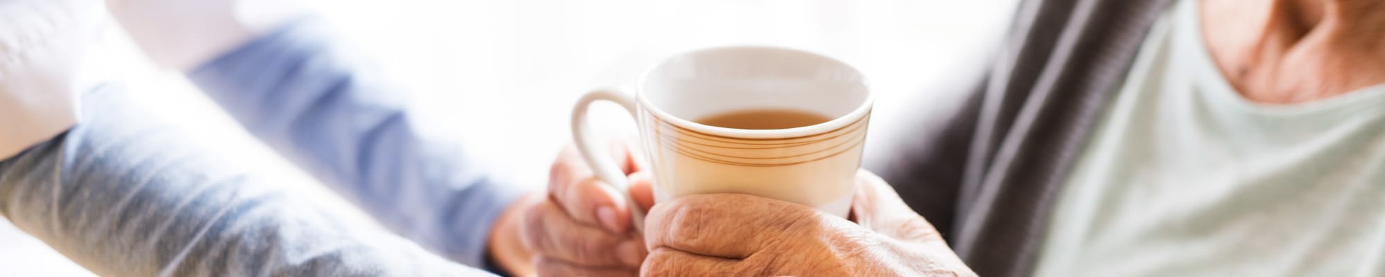 Map and Directions to Carolina Assisted Living in Appleton, Wisconsin