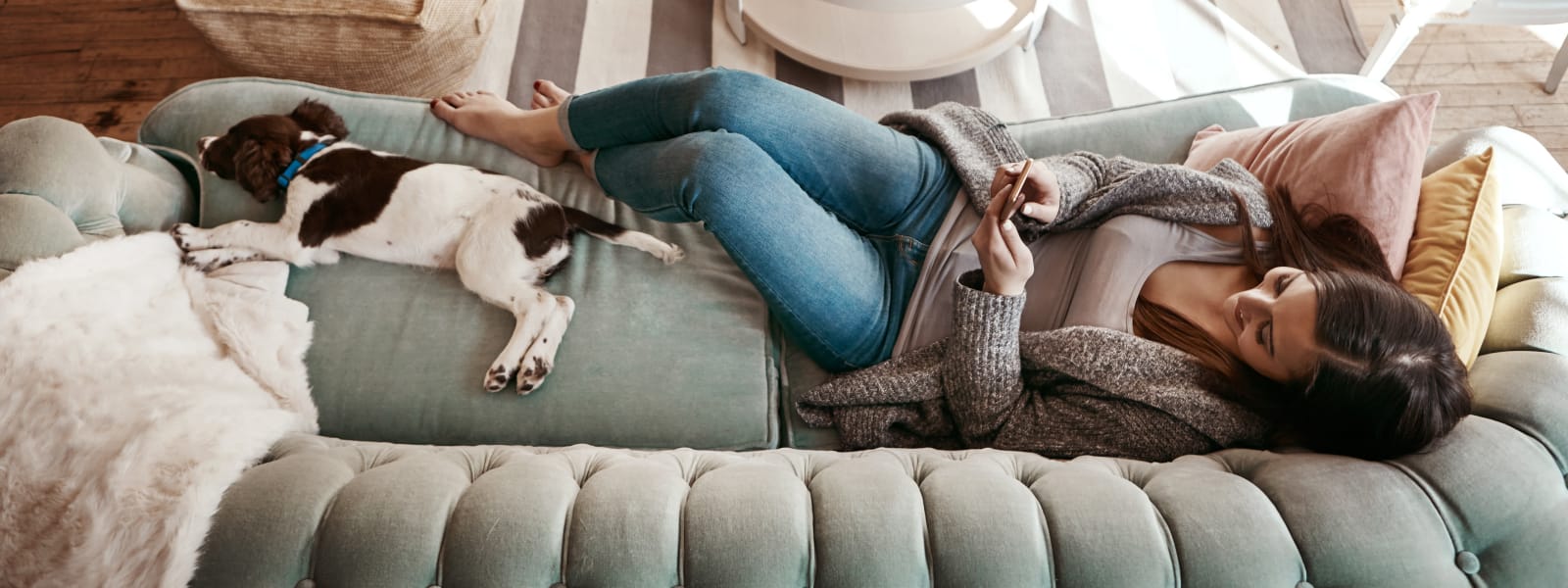 Pet Friendly apartments at North Square Apartments at The Mill District in Amherst, Massachusetts