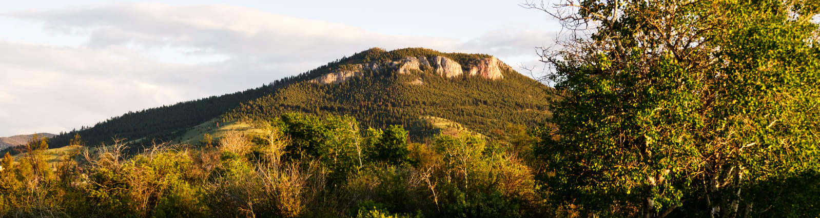 Touchmark Values & Mission at Touchmark on Saddle Drive in Helena, Montana