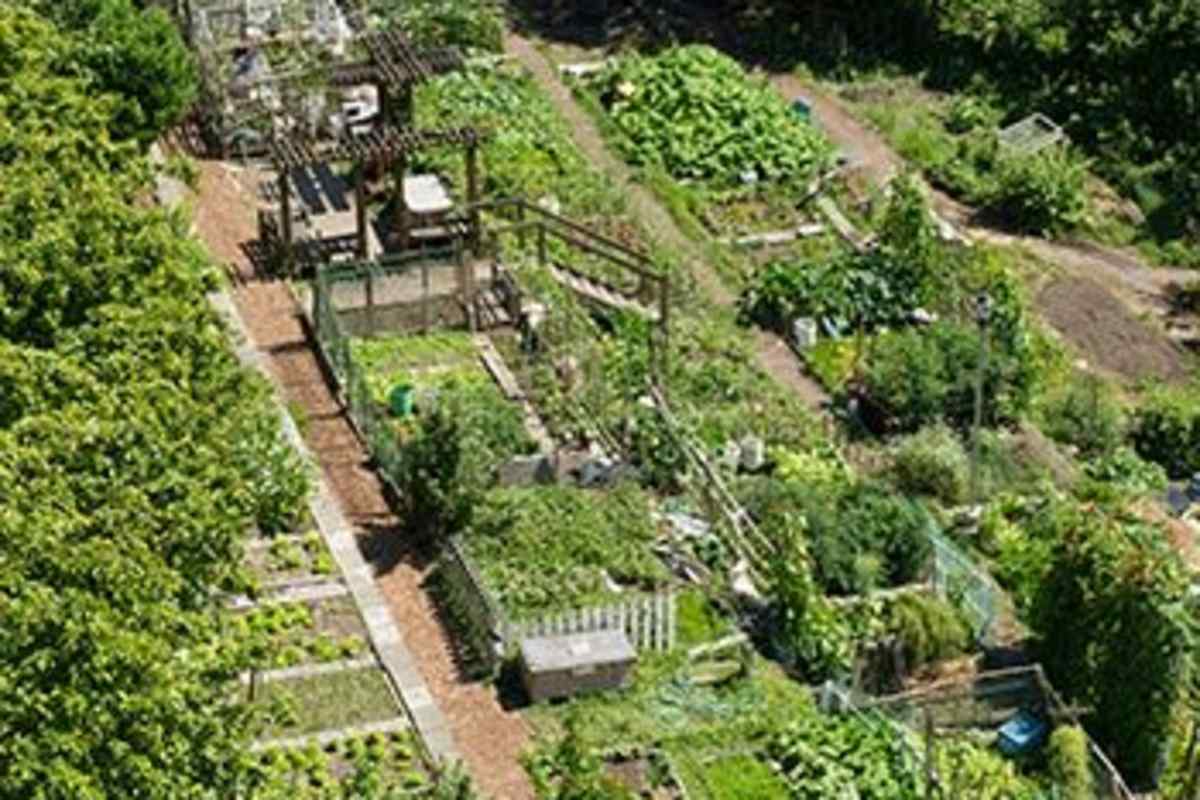 Community garden at Metropolitan Park Apartments in Seattle, Washington