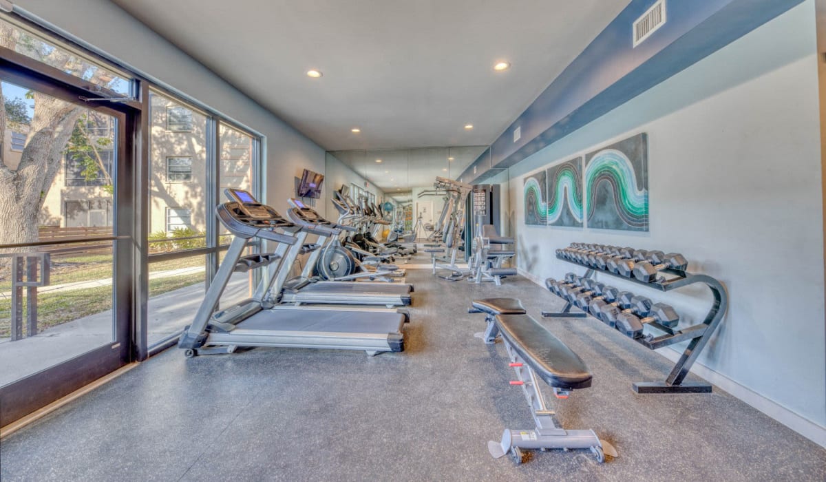 Gym at Milo Bayside in Saint Petersburg, Florida