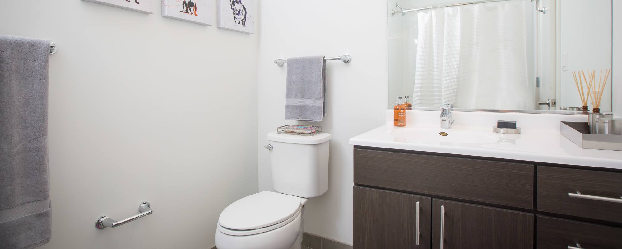 Bathroom with dark cabinetry at Exhibit On Superior in Chicago, Illinois