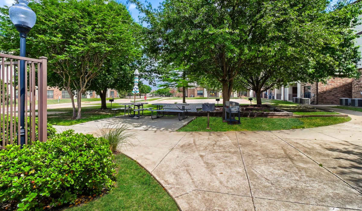 Picnic area with bbq grill at Lindbergh Parc Senior Apartments in Fort Worth, Texas