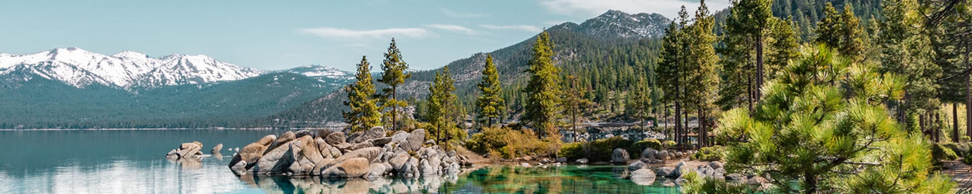 Pet policy at WellQuest of Granite Bay in Granite Bay, California