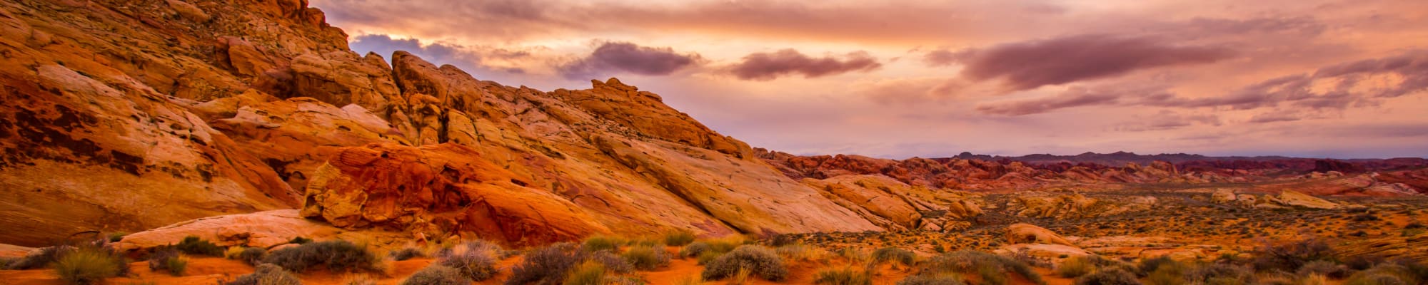 Amenities at Platte View Landing in Brighton, Colorado