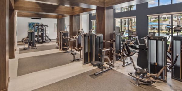 Fitness center at at Murano at Three Oaks in Fort Myers, Florida