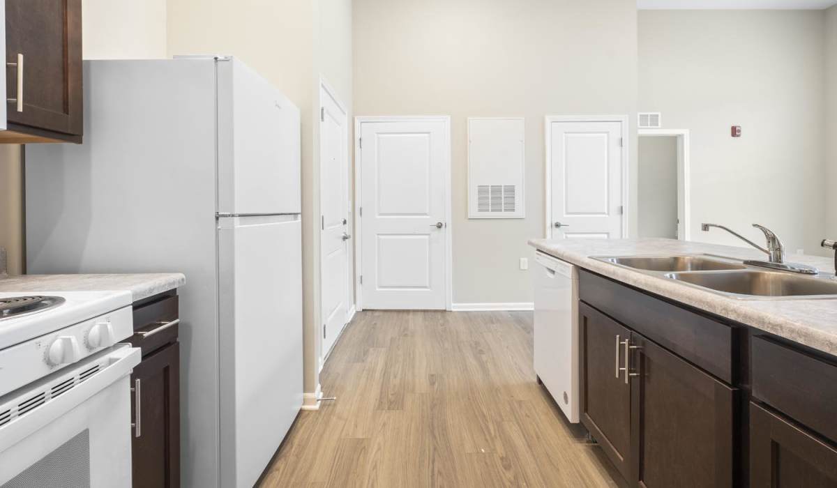 Apartment kitchen with dishwasher and appliances at Lambert Landing I in Chester, Virginia