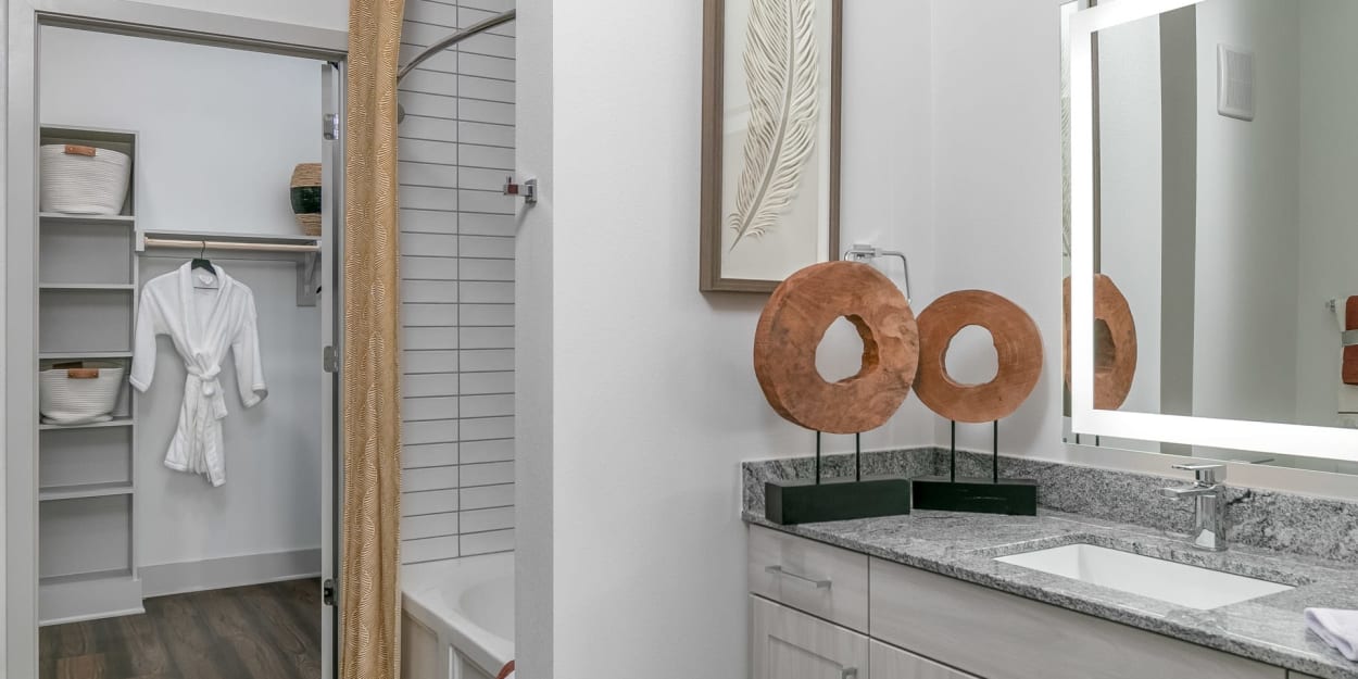 Bathroom with attached walk-in closet at Luxia Midtown Park, Dallas, Texas