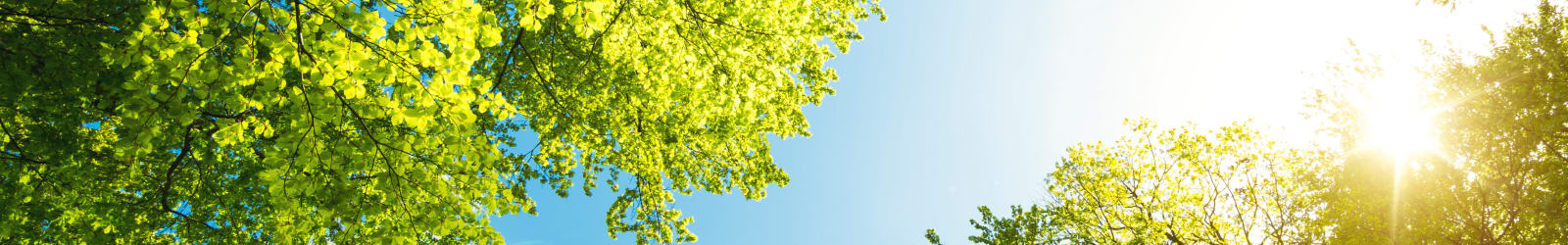 Lime Tree Village privacy policy