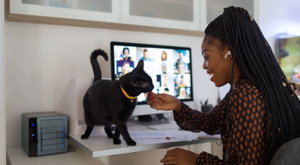 Resident attends an online meeting with her kitten at Beacon on 5th in Charlottesville, Virginia