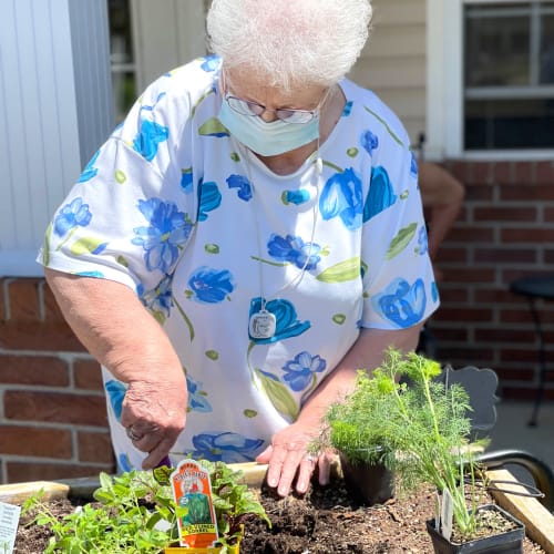 Resident gardening at Madison House in Norfolk, Nebraska