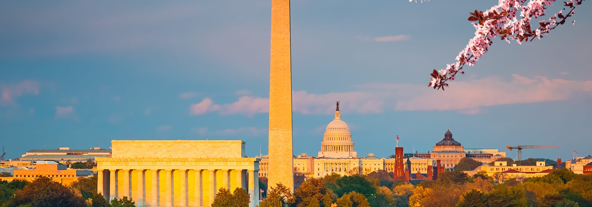 Apartments in Washington, DC