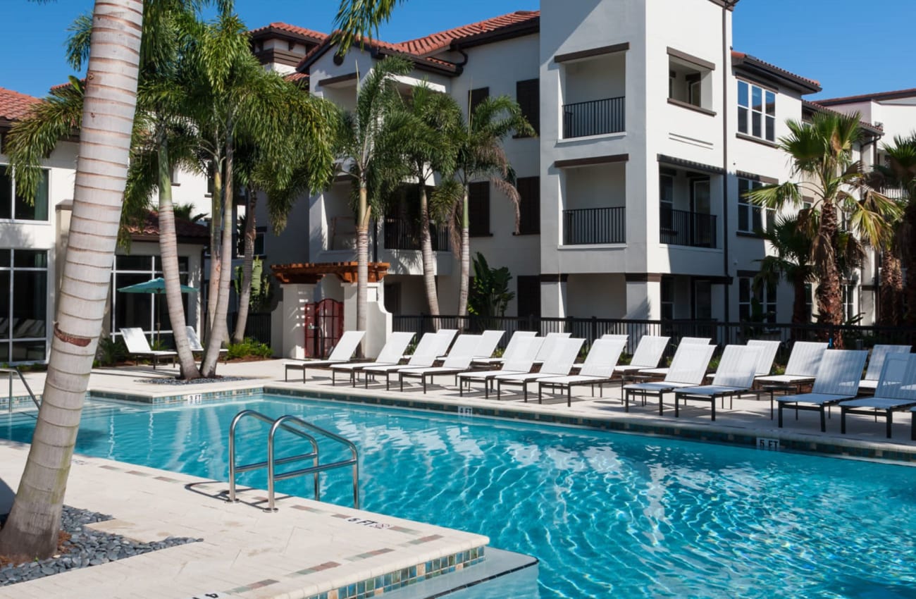 Beautiful blue pool at Amelia Westshore in Tampa, Florida