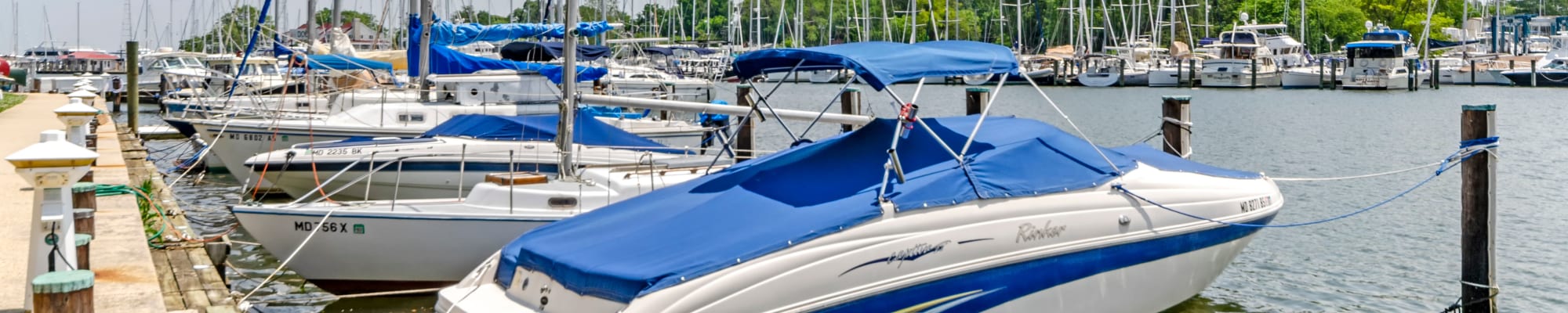 Watergate Pointe Marina at Watergate Pointe in Annapolis, Maryland