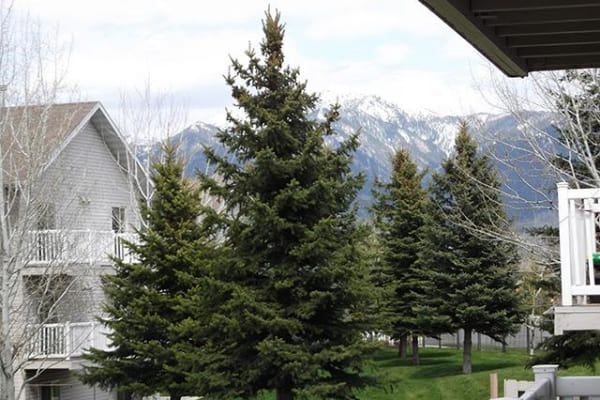 Schedule your tour of Mountain View Apartments today and see our beautiful neighborhood for yourself!
