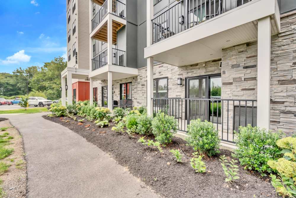Plants and landscaping in front of building at Latitude at South Portland in Portland, Maine