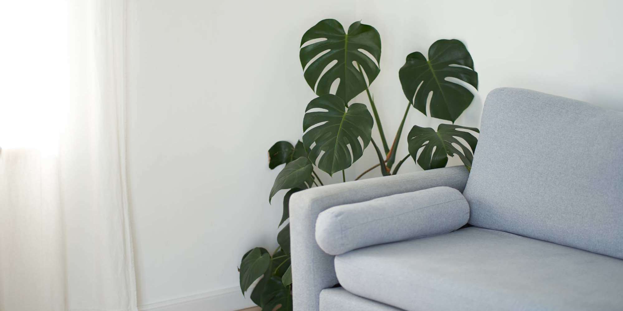 Ridge Commons apartments in Lafayette, Louisiana