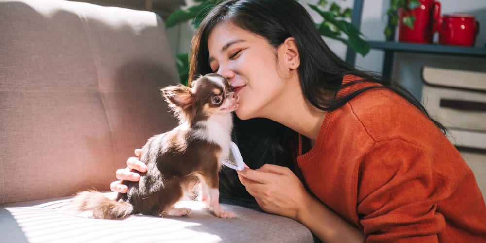 Resident kissing her little dog sitting on the couch at home at Garden Court Apartments in Alameda, California