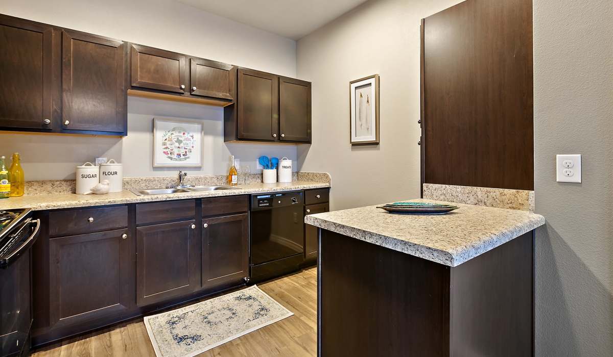 Modern kitchen with dark wood cabinet and dishwasher at Canyon House in New Braunfels, Texas