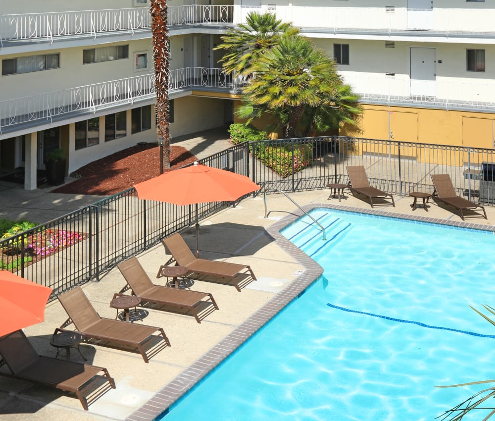 Chaise lounge chairs and shaded seating around the pool at Sofi Redwood Park in Redwood City, California