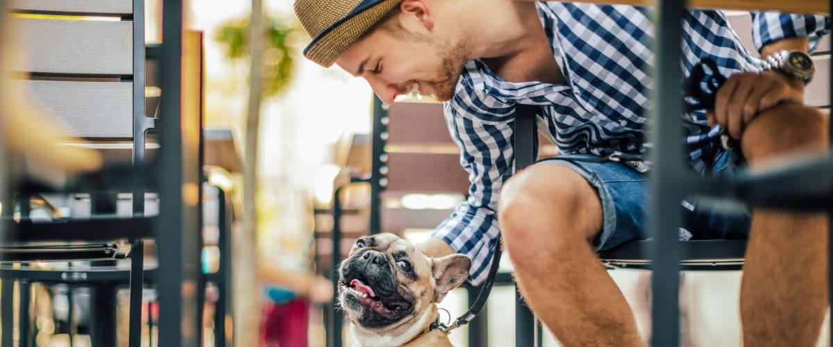 Dog having fun with his dad at their favorite restaurant near Murano at Three Oaks in Fort Myers, Florida