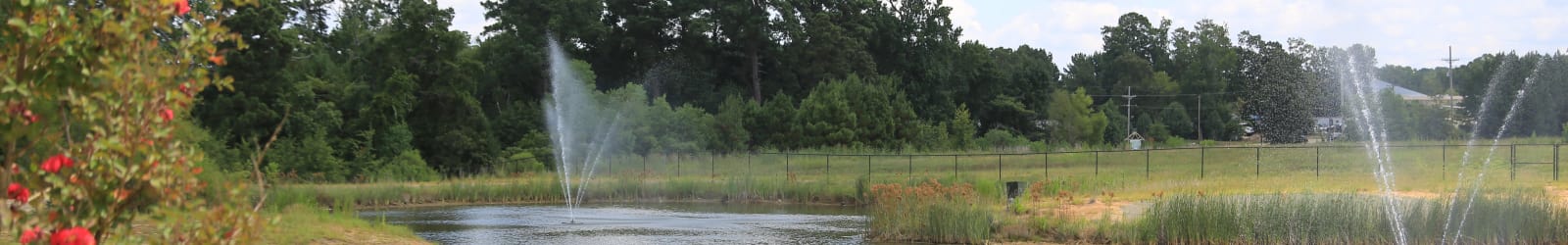Photos of apartments in Ruston