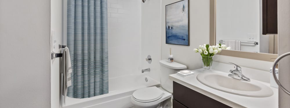 Modern and spacious restroom at Elan 41 Apartments in Seattle, Washington