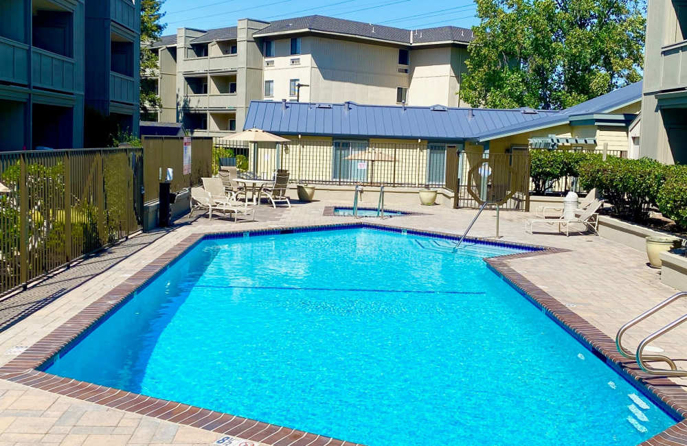 Swimming pool at Springwood Apartment Homes in Los Altos, California