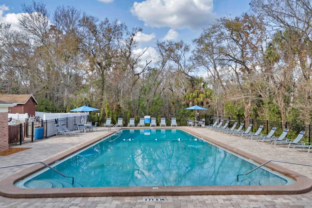 Sparkling pool surrounded by lounge chairs and shaded umbrellas with lush greenery in the background at Carlton Arms North in Tampa, Florida