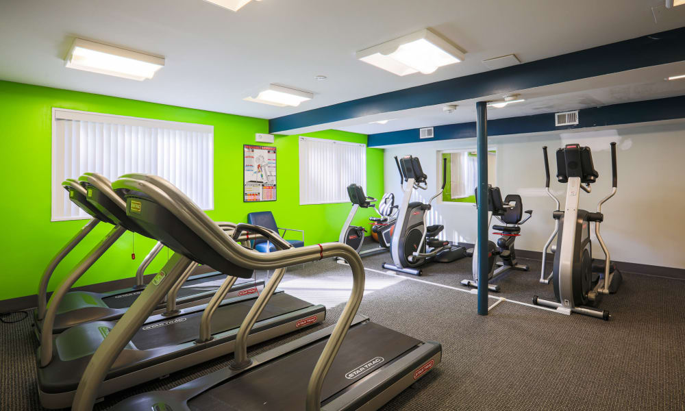 Exercise equipment at Regency Pointe in Forestville, Maryland