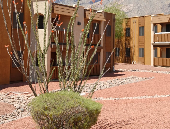 1 2 Bedroom Apartments For Rent In Tucson Az