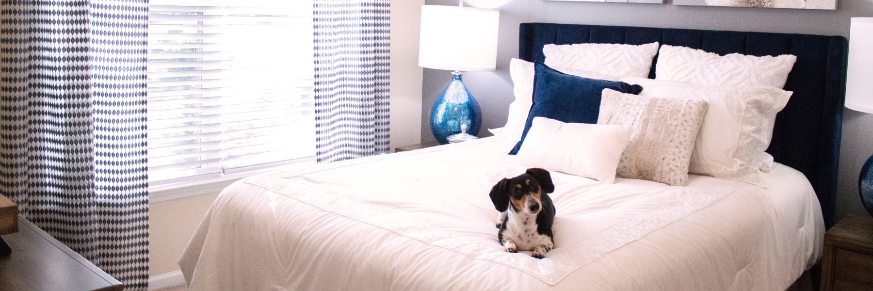 Pet friendly apartments in Fort Mill, South Carolina at Berkshire Fort Mill