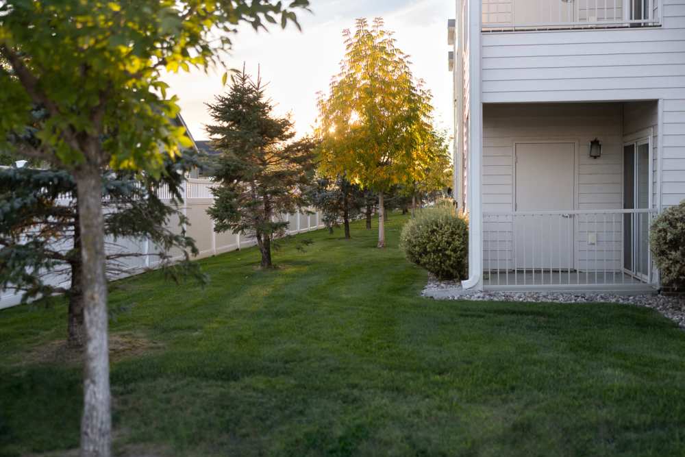 Grassy lawn outside of the community at Regency Apartment Homes in Williston, North Dakota