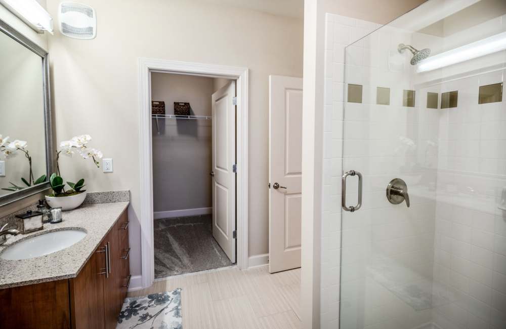 Modern-style bathroom with a shower and walk-in closet at West End Village in Nashville, Tennessee