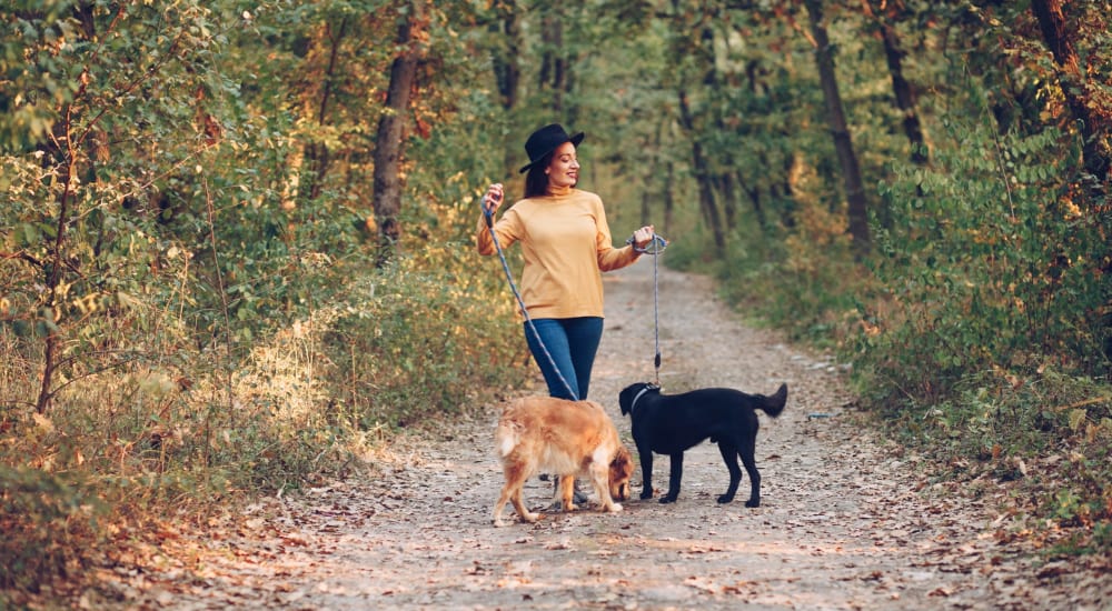 A resident walks her dogs near Ravenna Woods in Twinsburg, Ohio