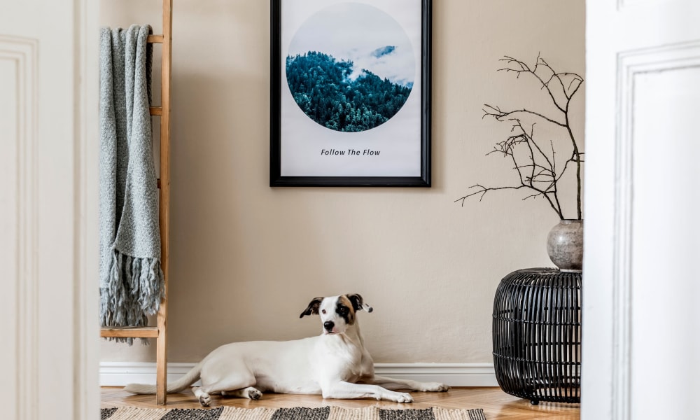 Dog sitting in a well decorated home at Residences at 8 East Huron in Chicago, Illinois