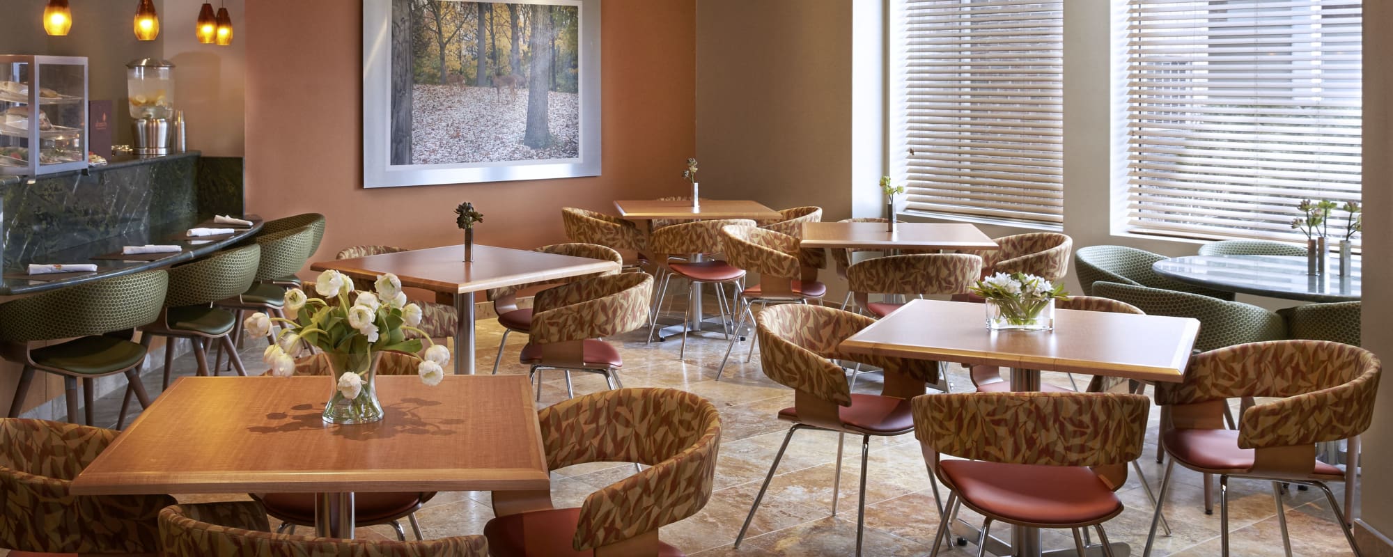Fabulous senior living homes at All Seasons of Rochester Hills in Rochester Hills, Michigan