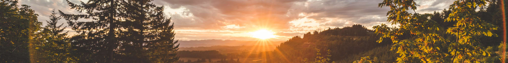 Photo gallery at Sierra Sun