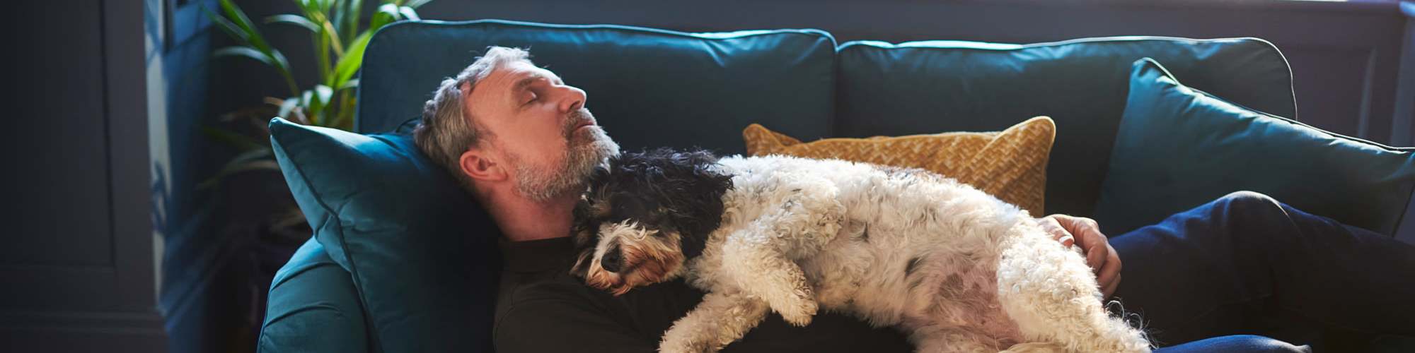 Pet Friendly | Arbor Park Apartments in Hurst, Texas