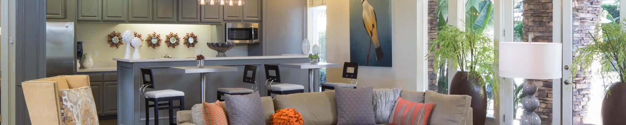 Amenities at Alicante Apartment Homes in Aliso Viejo, California