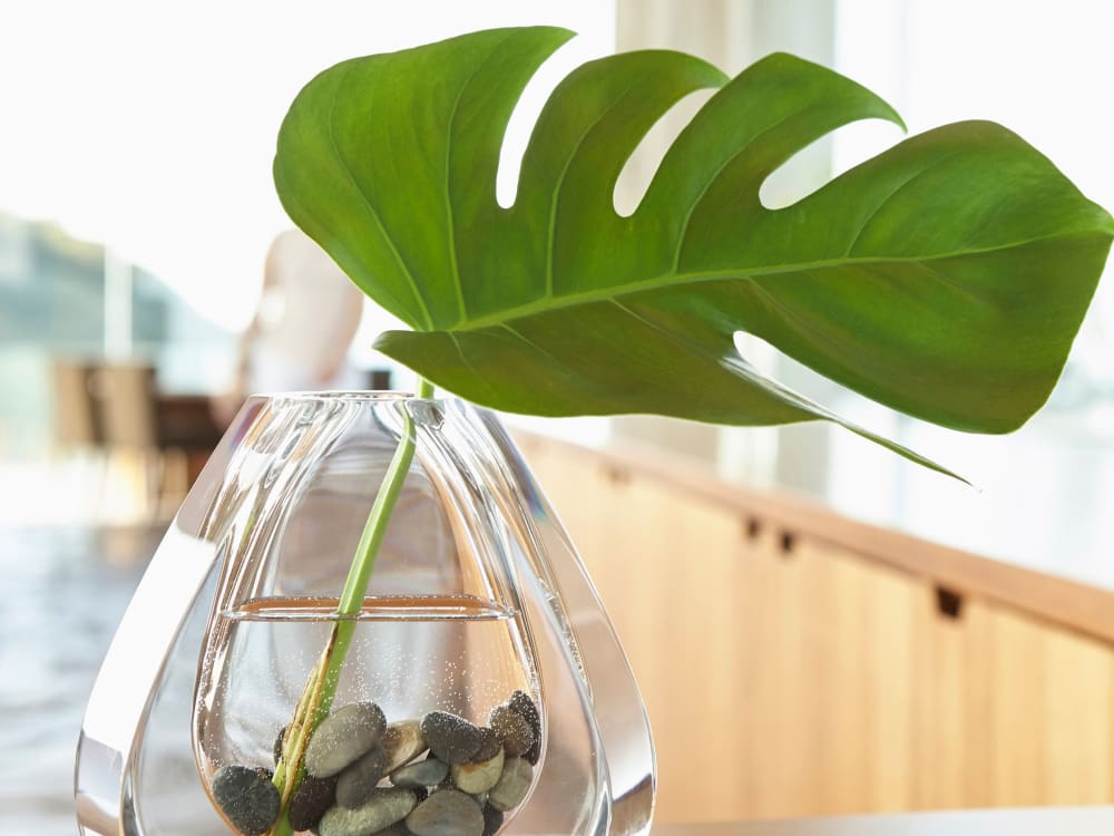 Beautiful vase on the counter of home at Haven New Providence in New Providence, New Jersey