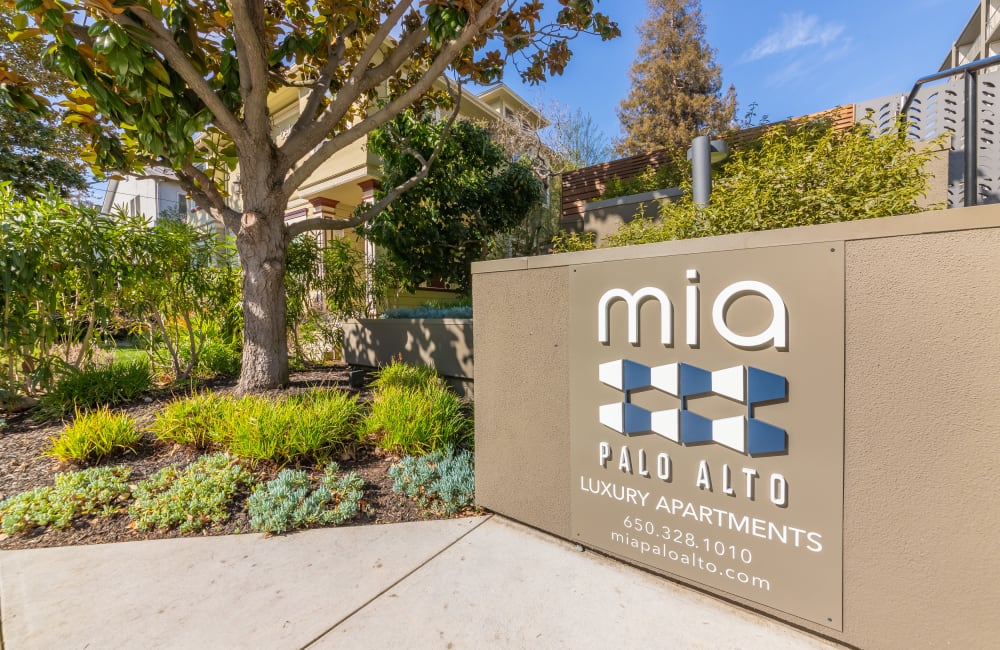 Going green with greenery by the property monument sign at Mia in Palo Alto, California