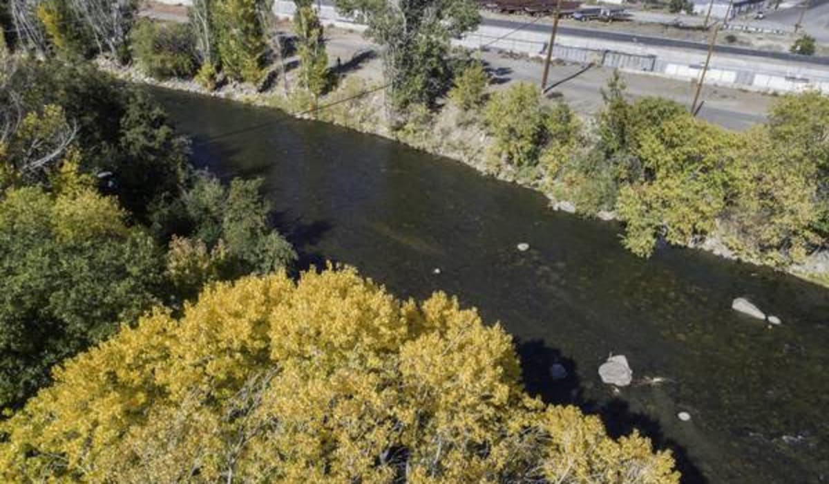 View of the river near Riverside Park Apartments in Reno, Nevada