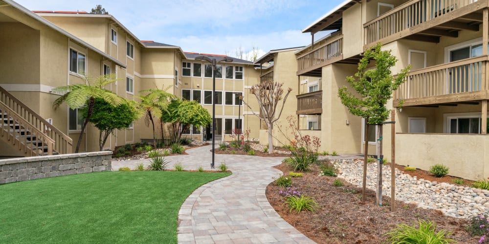 Courtyard with space for dogs to play at Vista Creek Apartments in Castro Valley, California