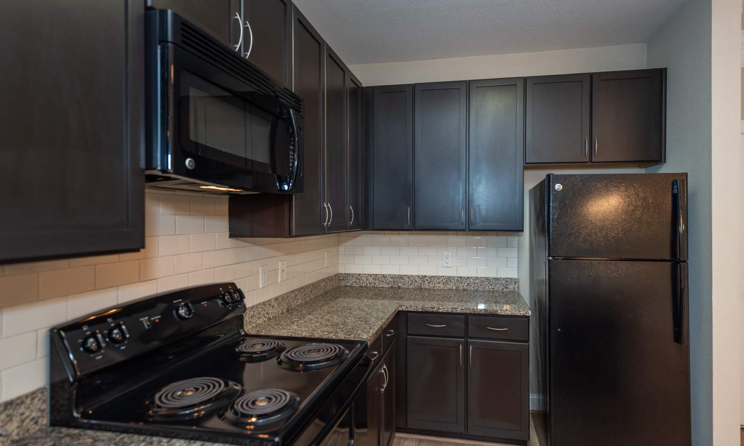 Kitchen with Sleek Black Appliances at Red Knot at Edinburgh in Chesapeake, Virginia