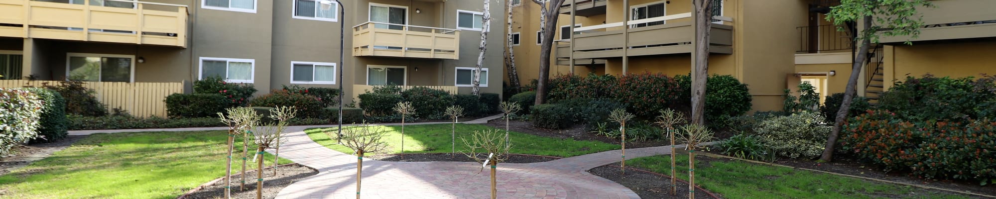 Neighborhood at Bayfair Apartment Homes in San Lorenzo, California